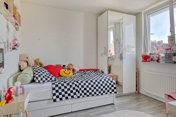 Foto 14 van Grauwe Gans 46