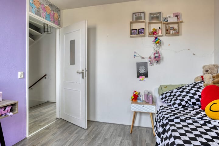 Foto 15 van Grauwe Gans 46