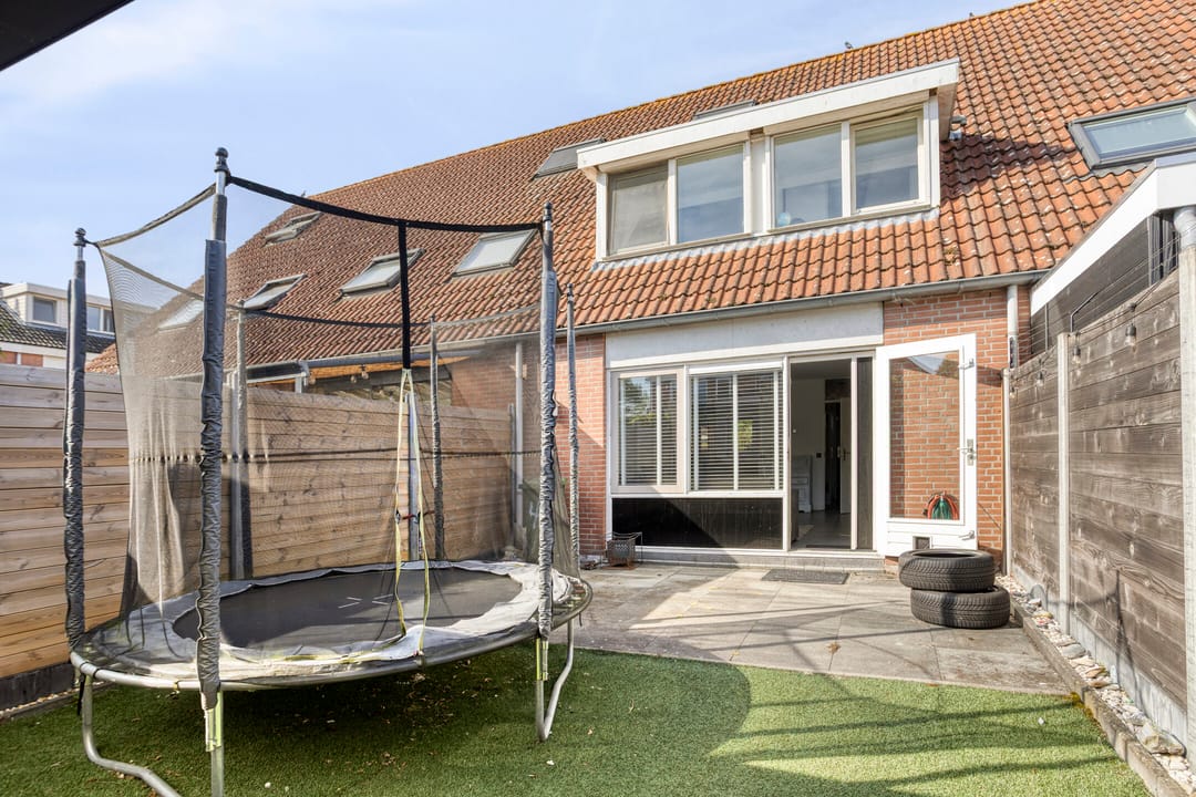 Foto 16 van Grauwe Gans 46