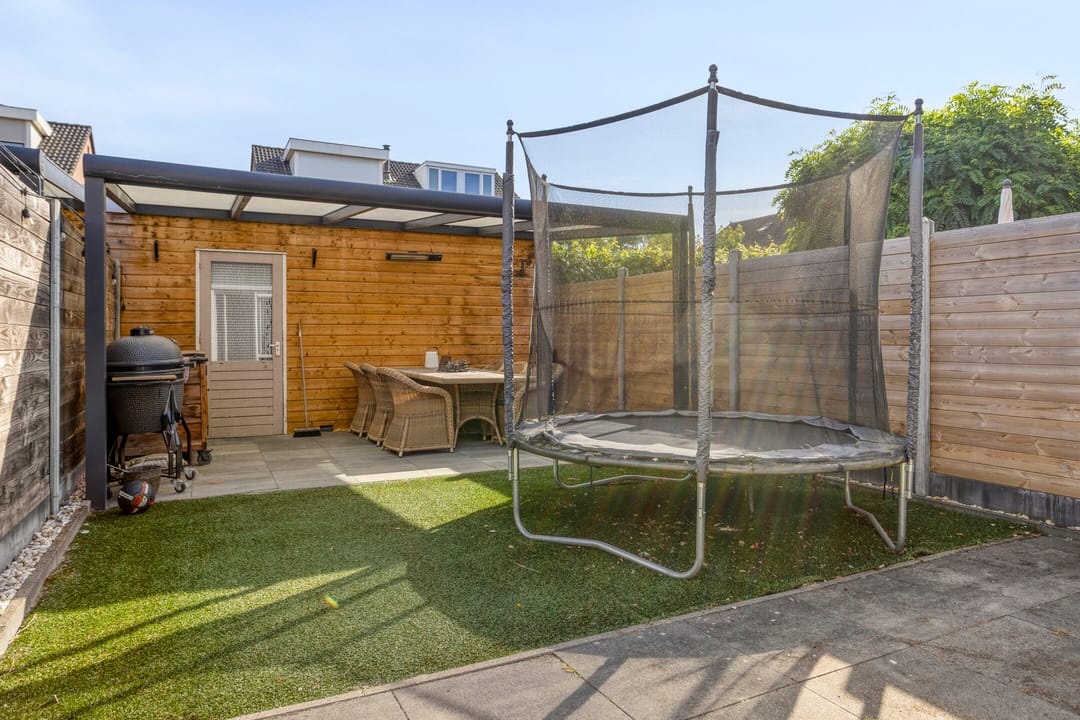 Foto 17 van Grauwe Gans 46