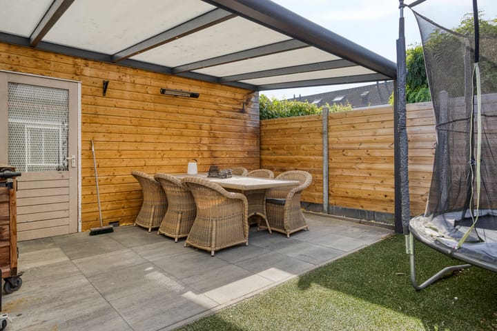 Foto 18 van Grauwe Gans 46