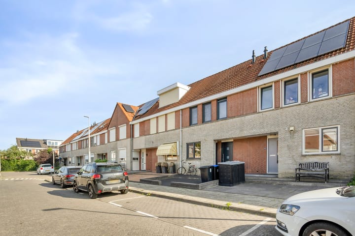 Foto 20 van Grauwe Gans 46