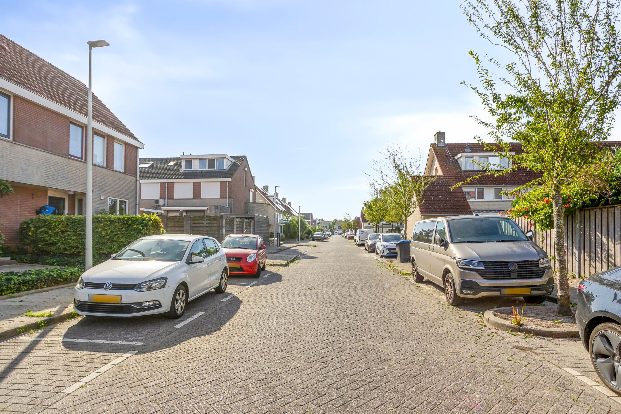 Foto 21 van Grauwe Gans 46