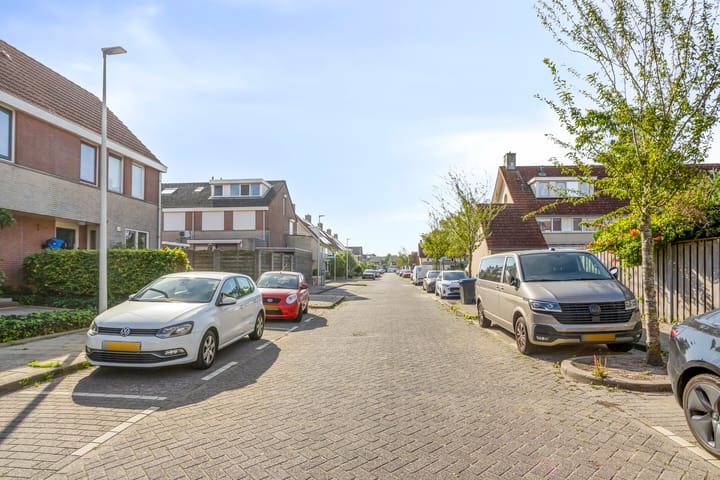 Foto 21 van Grauwe Gans 46