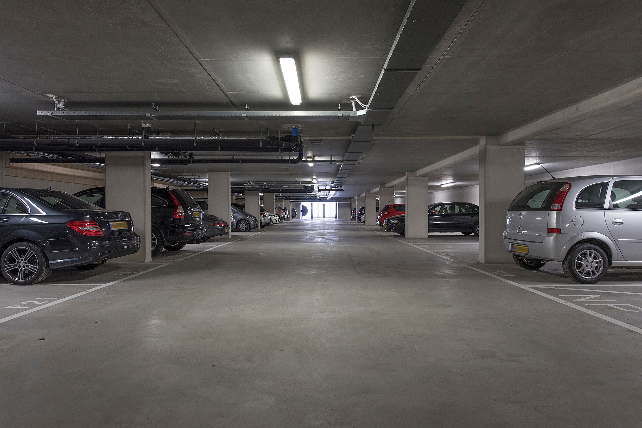 Foto 6 van Boerhaavehof 50