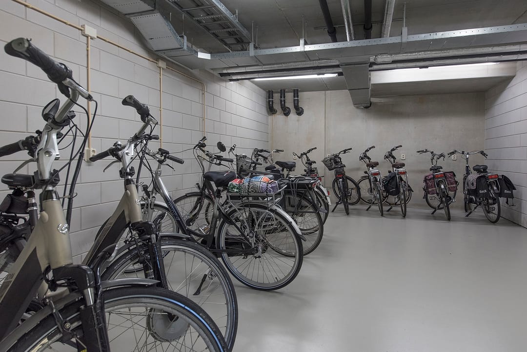 Foto 7 van Boerhaavehof 50