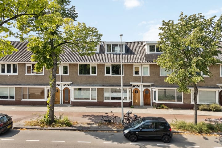 Foto 41 van Constant Erzeijstraat 41