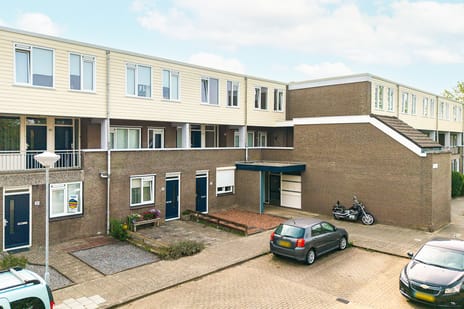 undefined main image