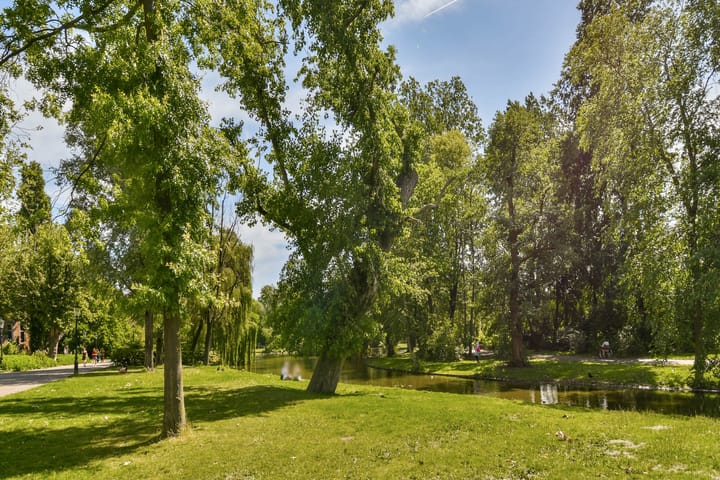 Foto 25 van Ruyschstraat 313-A