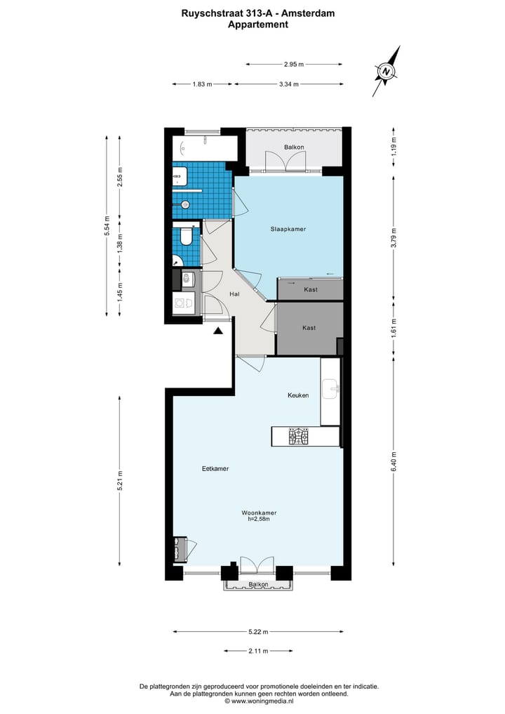 Foto 27 van Ruyschstraat 313-A