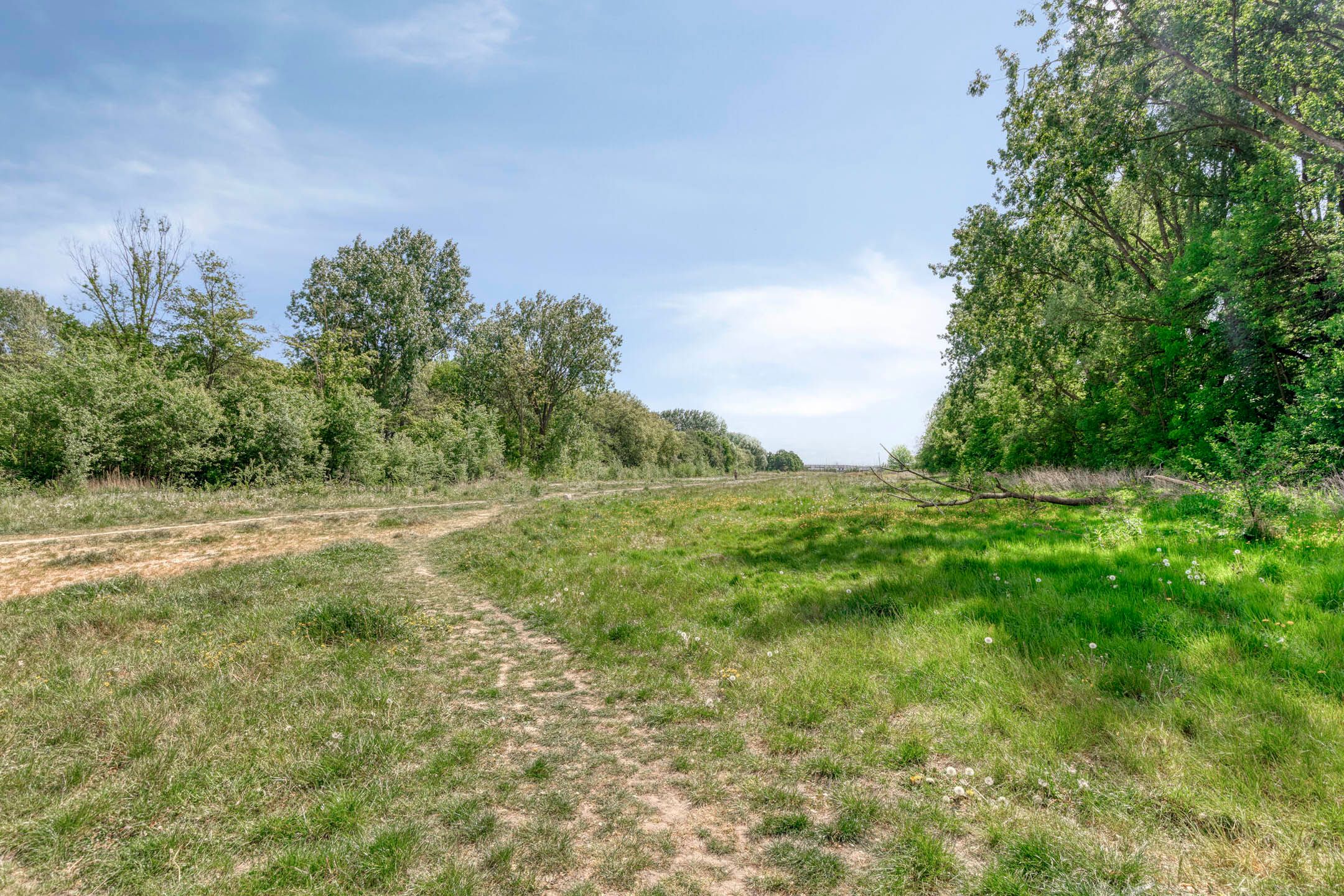 Foto 39 van Wijnmalenstraat 47