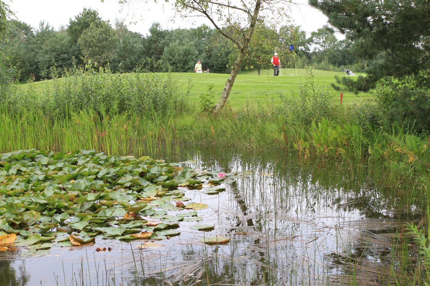 Foto 4 van Kolonieweg 13