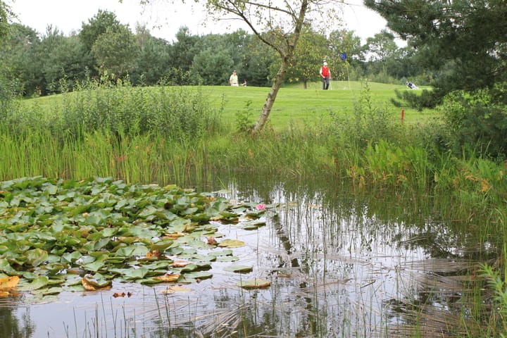 Foto 4 van Kolonieweg 13