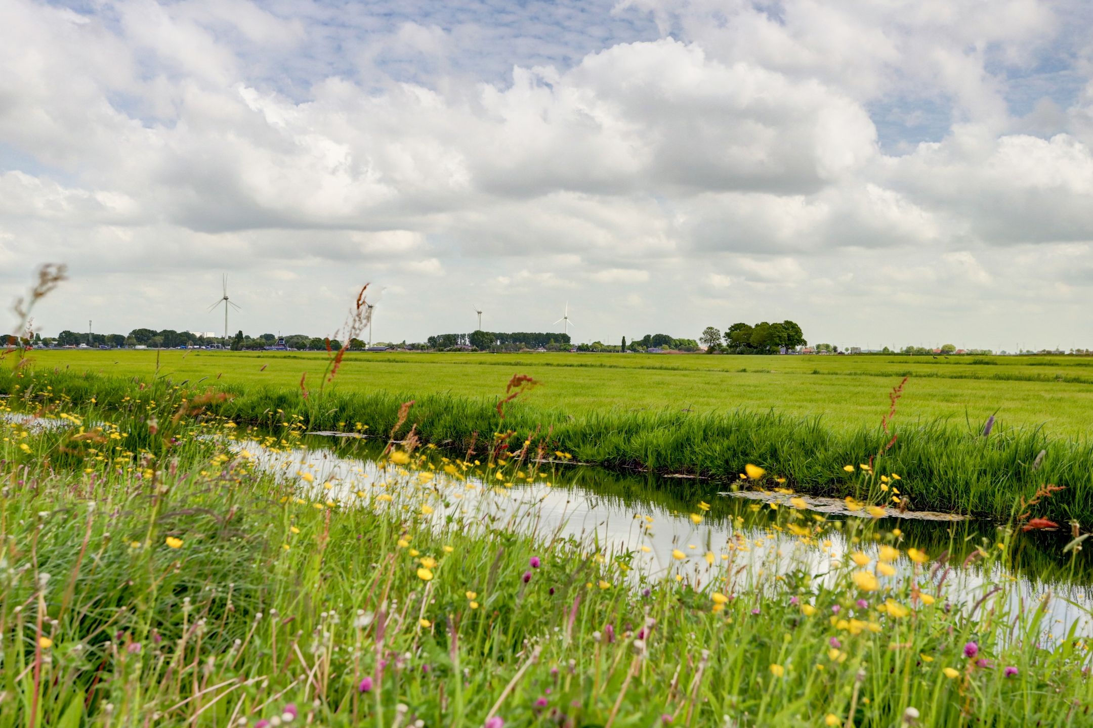 Foto 15 van Laan van Oud Raadwijk 9-A