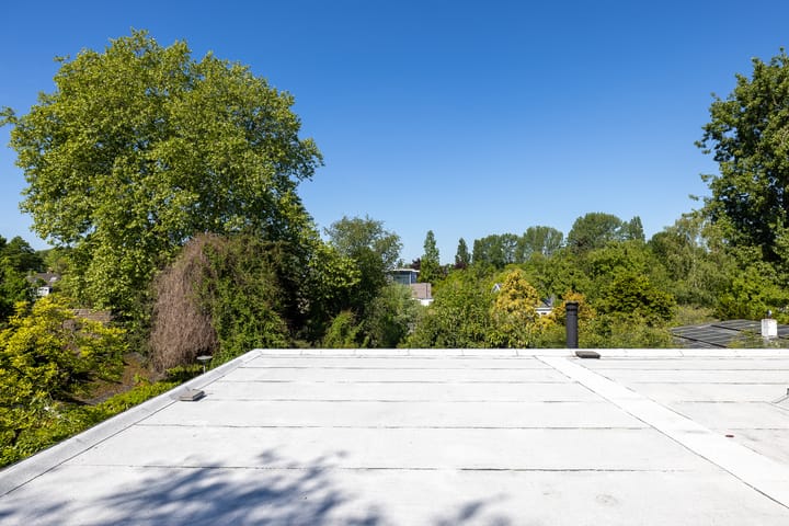 Photo 44 of Ogier van Cralingenpark 72