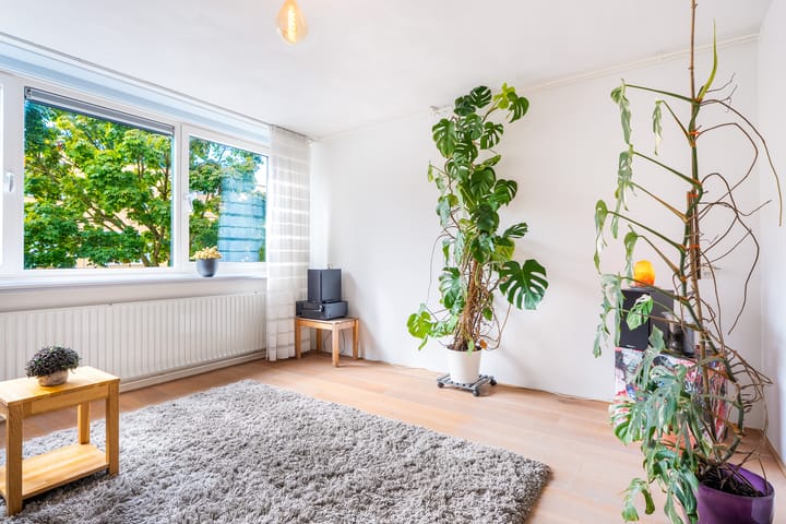 Foto 4 van Slachthuisstraat 217