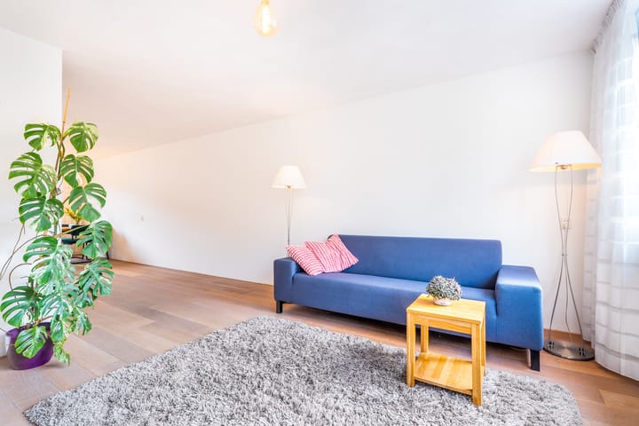 Foto 6 van Slachthuisstraat 217