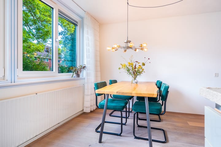 Foto 11 van Slachthuisstraat 217