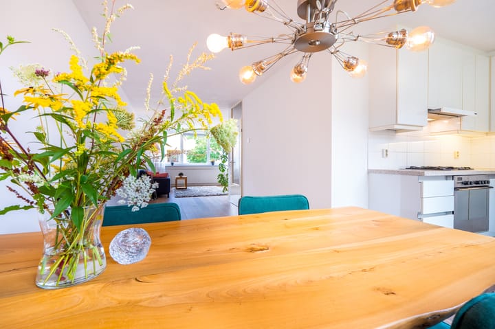 Foto 13 van Slachthuisstraat 217