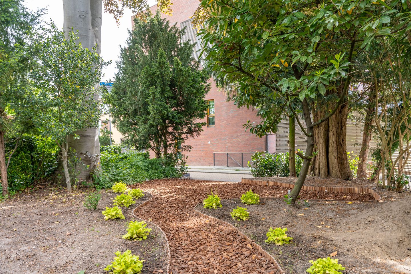 Photo 70 of Ruitersweg 6