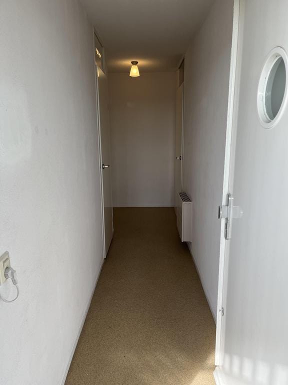 Foto 22 van Palaceplein 148