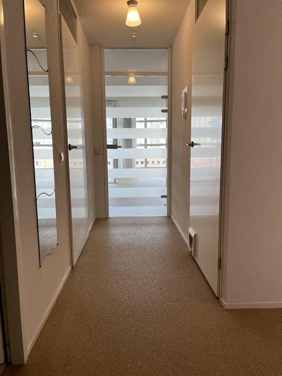 Foto 23 van Palaceplein 148