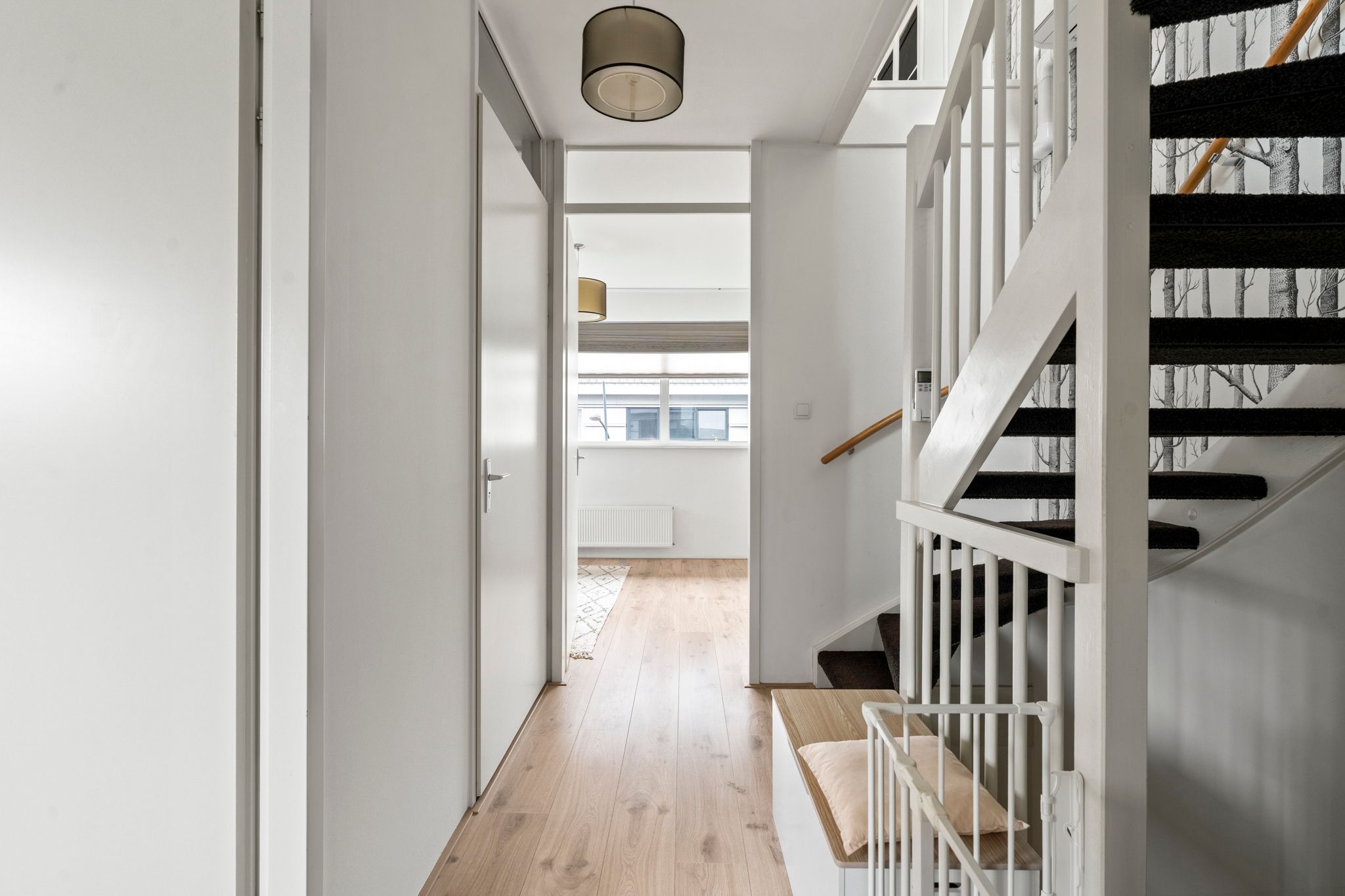 Foto 36 van Kaukasus 43