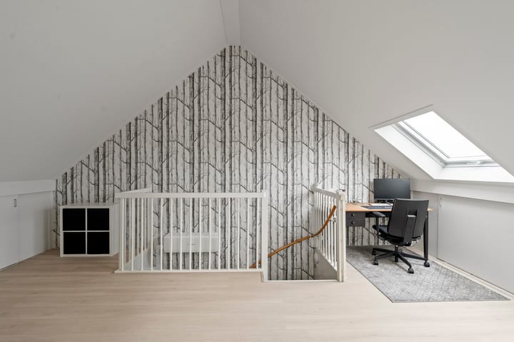 Foto 37 van Kaukasus 43