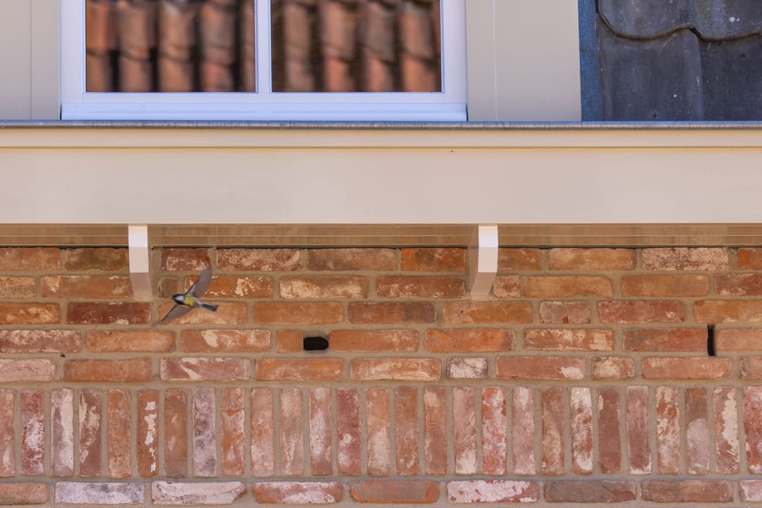 Foto 8 van Overmeerseweg 12