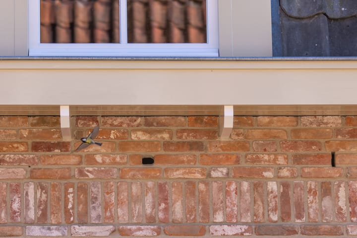 Foto 8 van Overmeerseweg 12