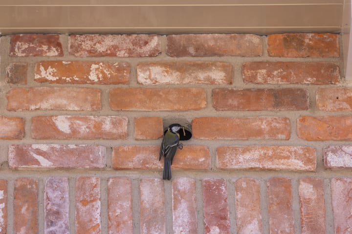 Foto 9 van Overmeerseweg 12