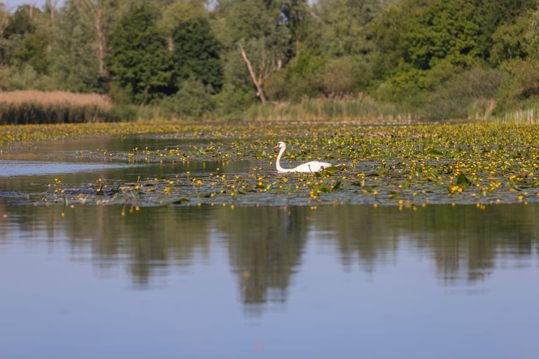Foto 37 van Overmeerseweg 12