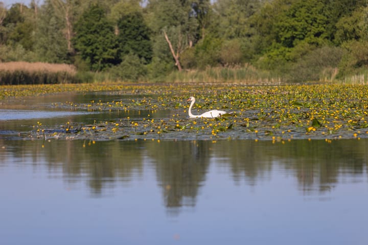 Foto 37 van Overmeerseweg 12
