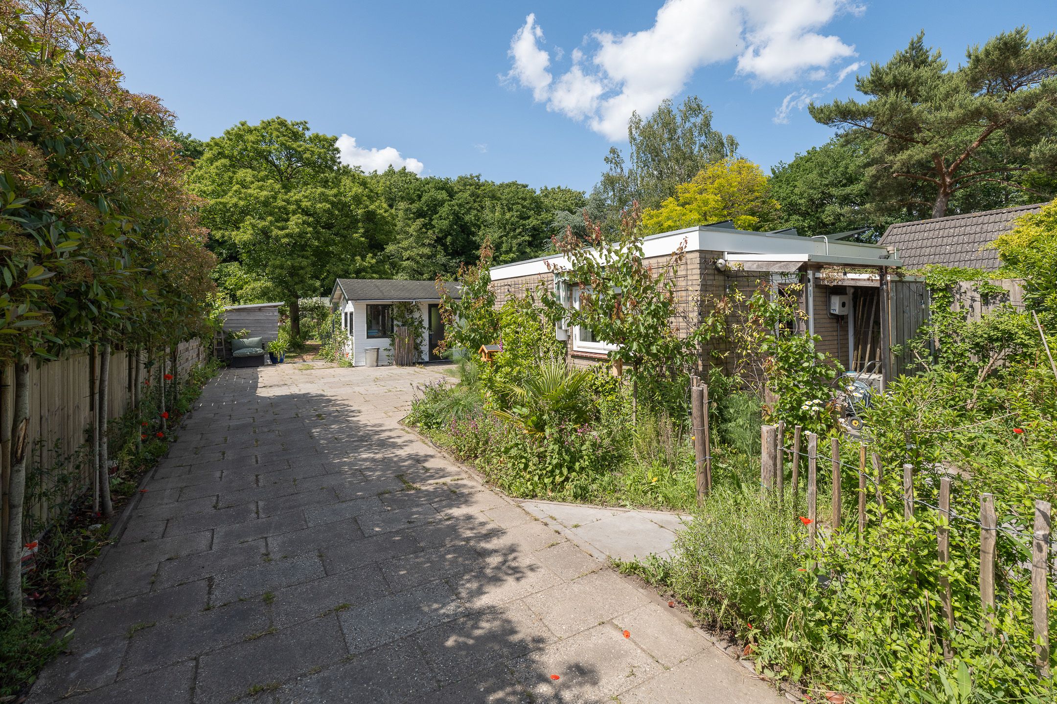 Foto 36 van Sportlaan 53