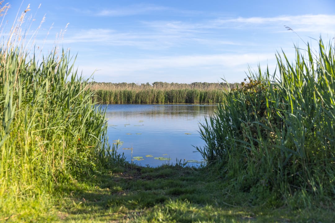 Foto 41 van Overmeerseweg 12