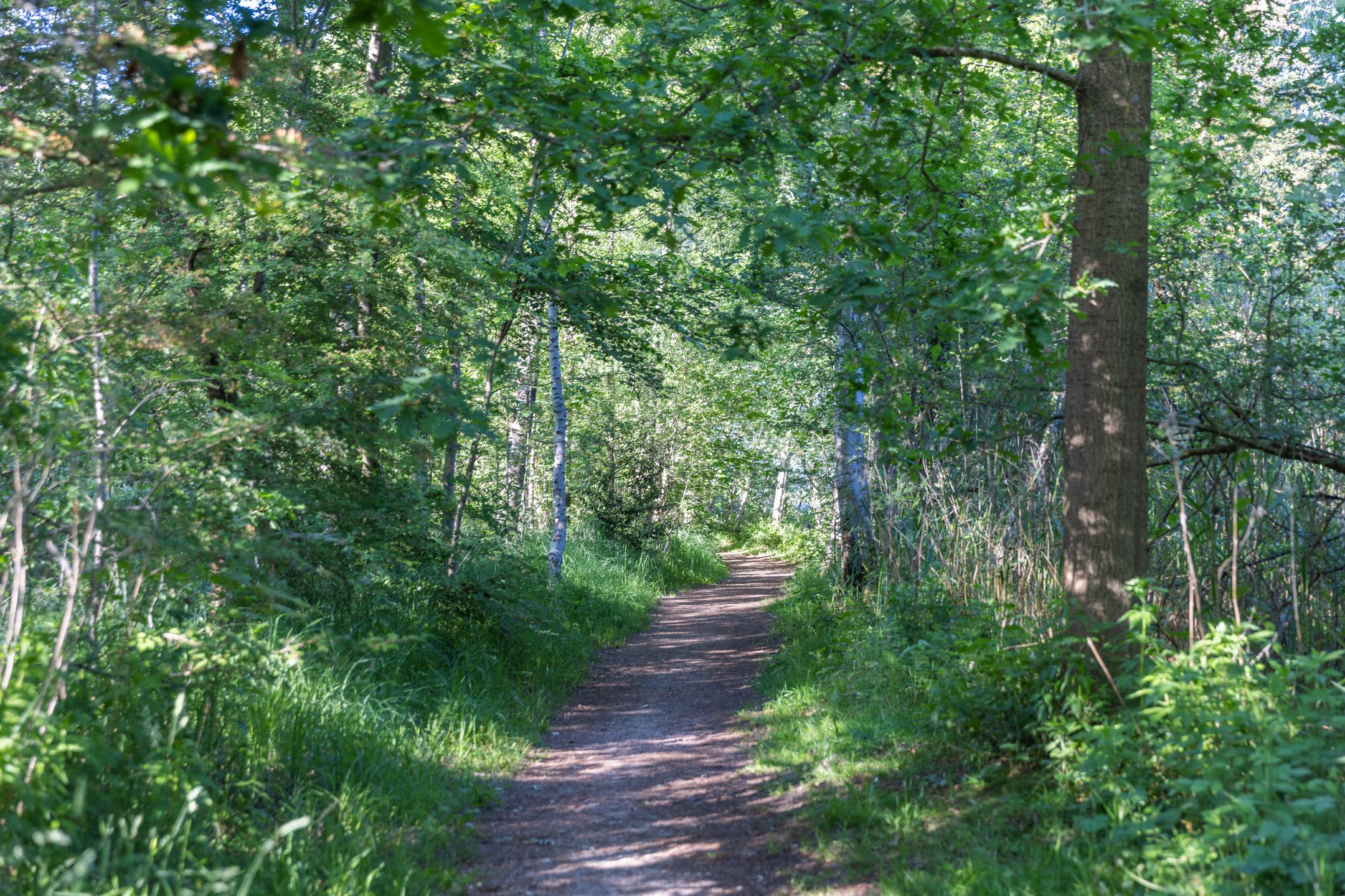 Foto 42 van Overmeerseweg 12