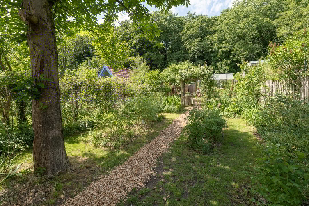 Foto 41 van Sportlaan 53