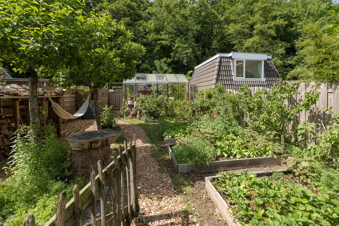 Foto 43 van Sportlaan 53