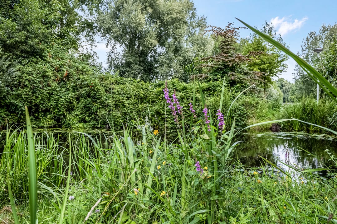 Foto 47 van Ambon 35