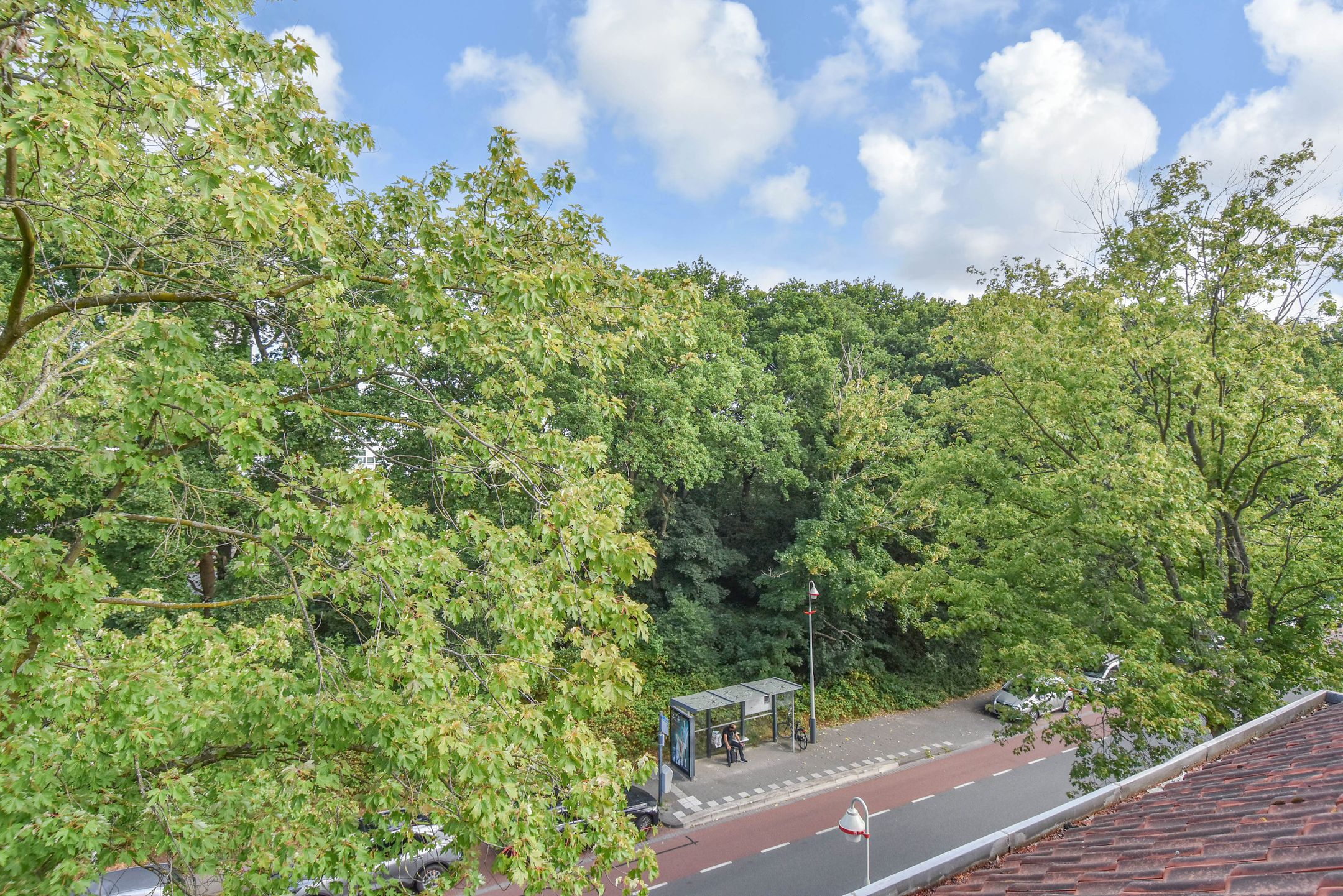 Foto 39 van Waalsdorperweg 223