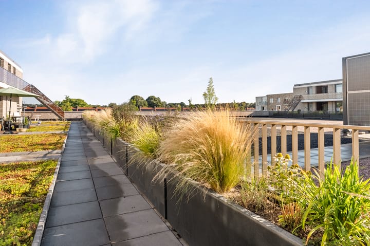 Foto 10 van De Boei 6