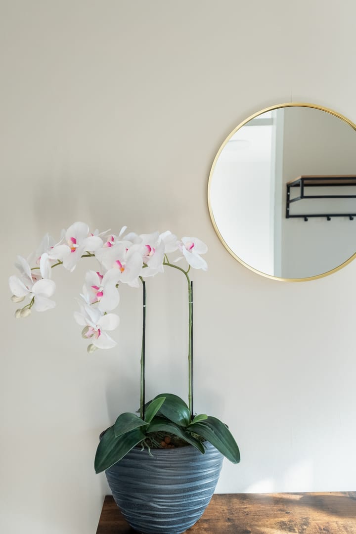 Foto 30 van De Boei 6