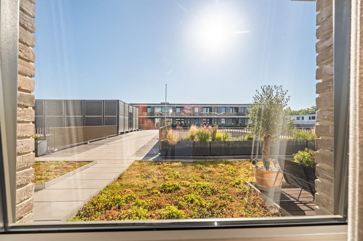 Foto 36 van De Boei 6