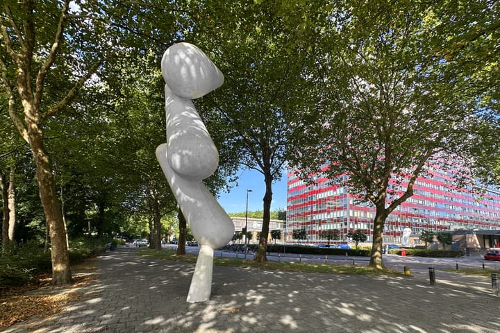 Foto 5 van Laan van Vollenhove 762