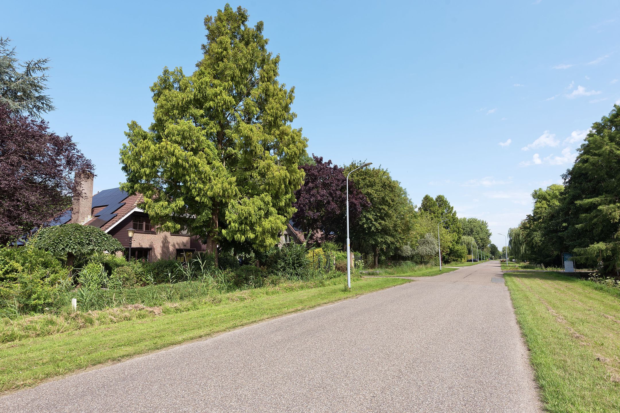 Foto 30 van Rijshornstraat 175