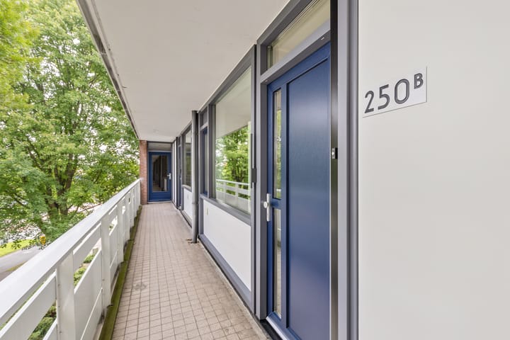 Photo 26 of Teteringsedijk 250-B