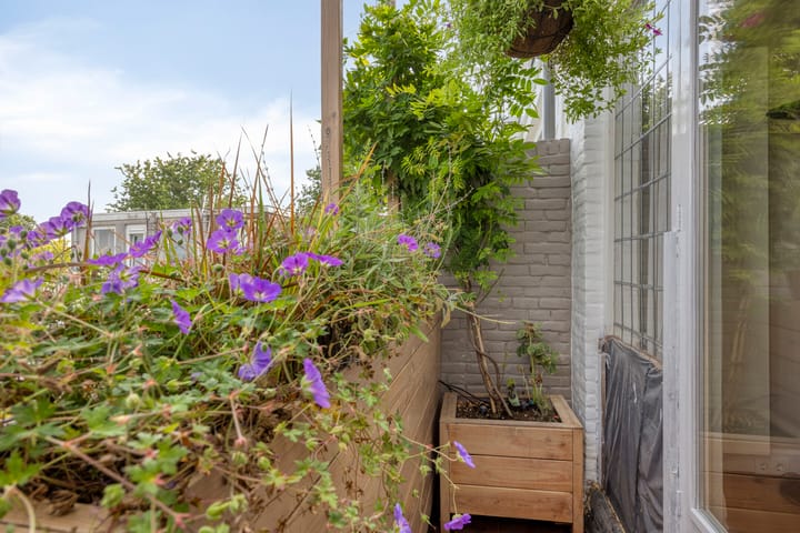 Foto 19 van Rembrandtlaan 80-B