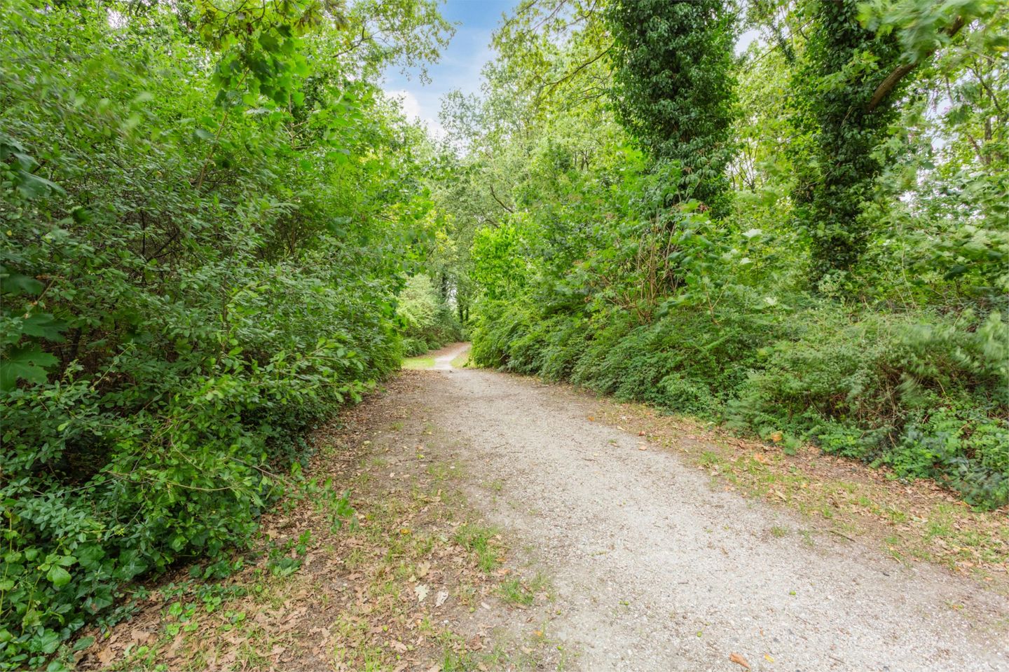 Foto 35 van Morrastraat 4