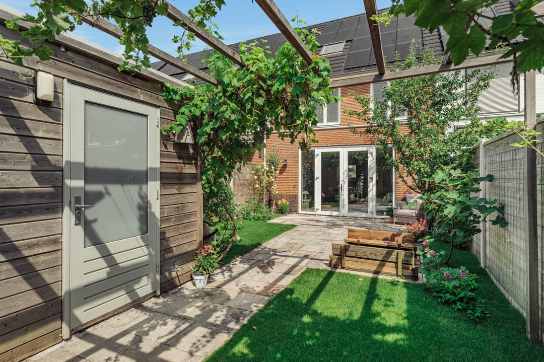 Foto 1 van Knobbelzwaan 77