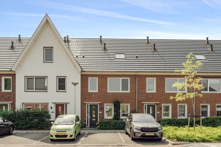 Foto 2 van Knobbelzwaan 77